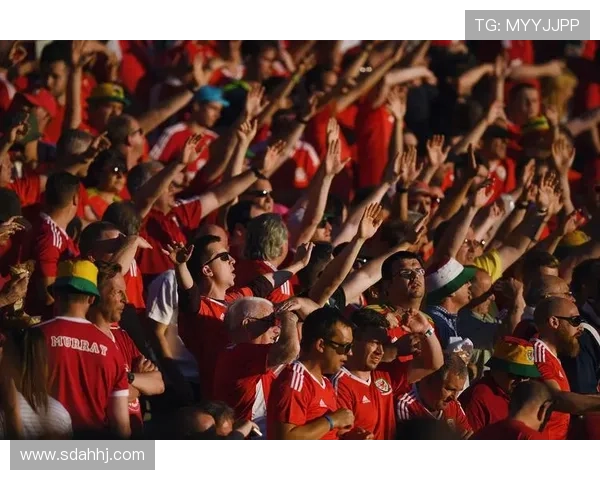 《欧洲杯预选赛》状态回暖，经典德比将引发球队激烈争夺