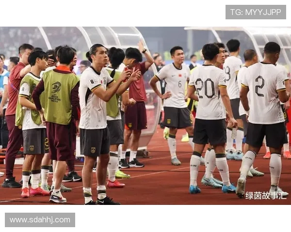 世界杯附加赛形势分析：多队竞争激烈，出线走势清晰