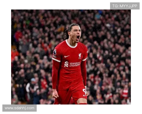 高价引援标签:努涅斯转会背后的期待与现实落差 高价引援标签:努涅斯转会背后的期待与现实落差