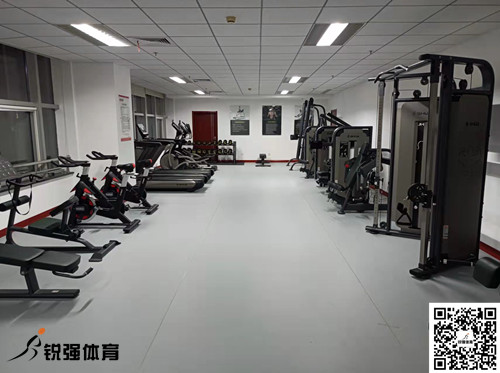 济南某集团采购的MK体育-MKsports官网体育提供的健身器材