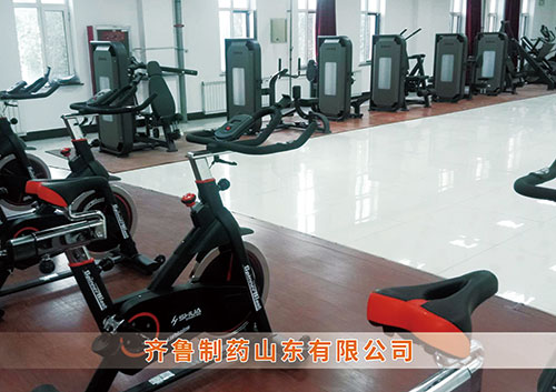 ​MK体育-MKsports官网体育为齐鲁制药呼和浩特分公司打造健身房
