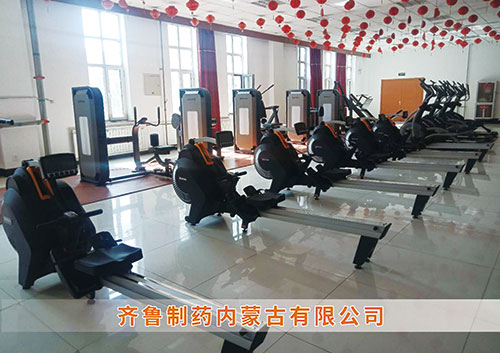 MK体育-MKsports官网体育为​齐鲁制药内蒙古分公司打造健身房